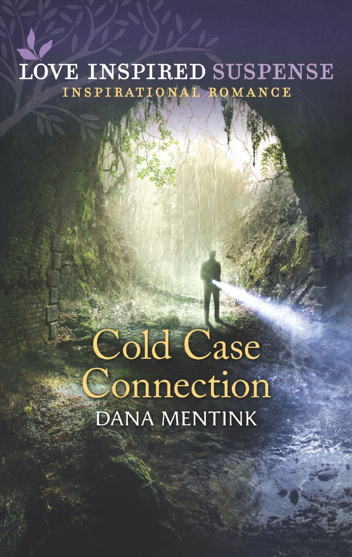 Cold Case Connection Dana Mentink