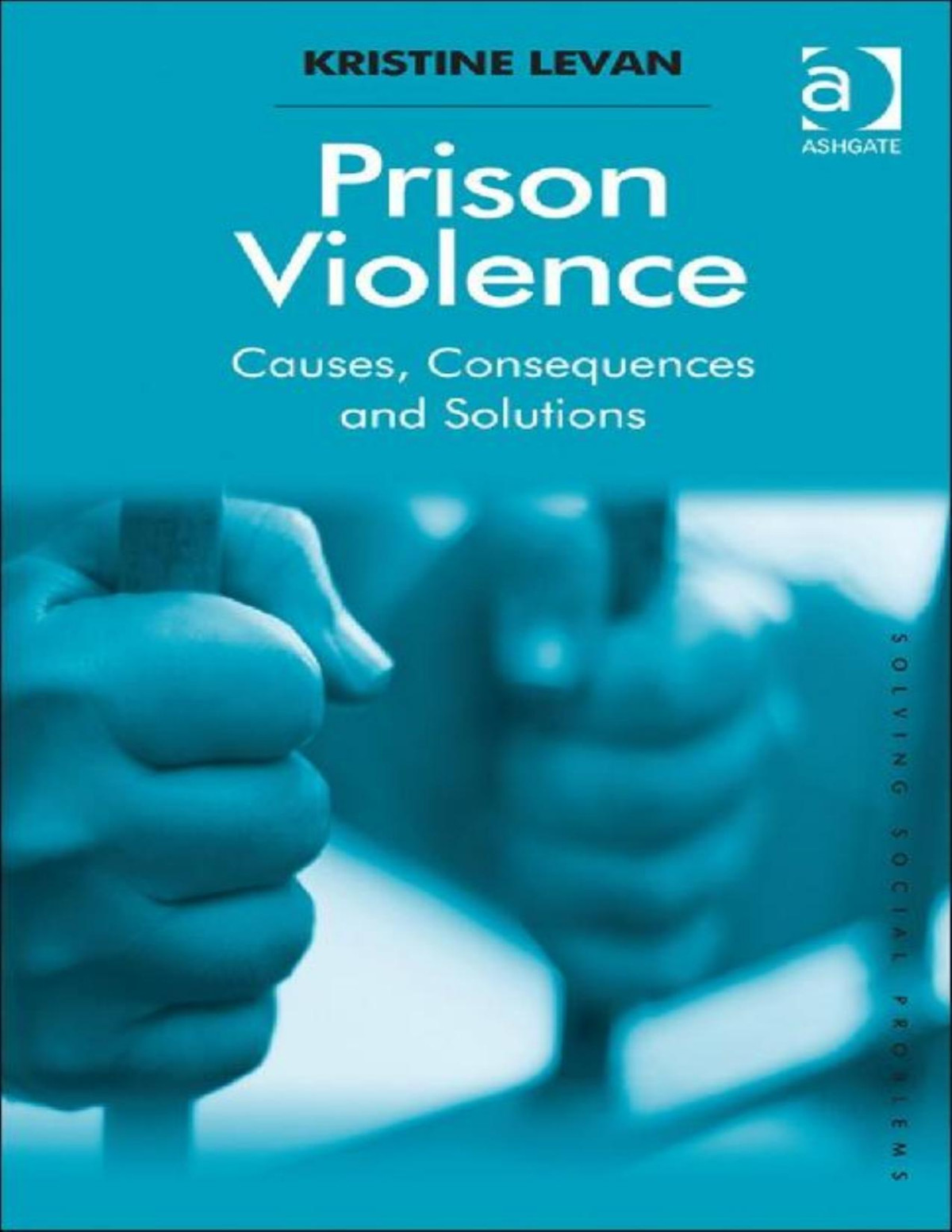 Prison Violence Causes Consequences And Solutions Solving Social Problems Levan