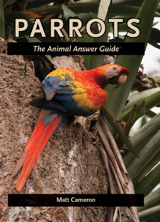 Parrots The Animal Answer Guide Matt Cameron
