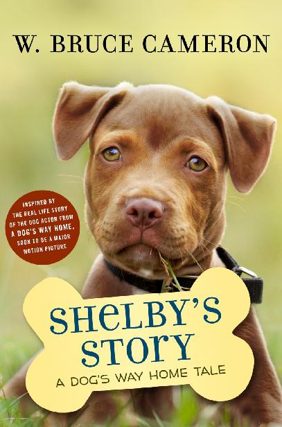 Shelbys Story W Bruce Cameron