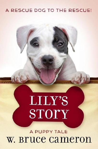Lilys Story W Bruce Cameron