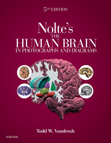 Noltes The Human Brain In Photographs And Diagrams 5th Ed 5th Edition Todd Vanderah