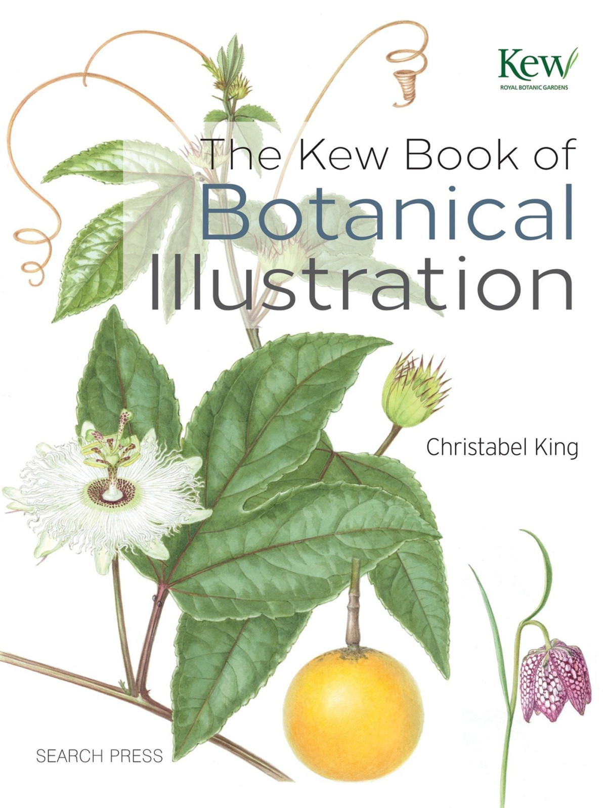 The Kew Book Of Botanical Illustration Christabel King