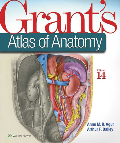 Grants Atlas Of Anatomy 14th Edition Anne Mr Agur Arthur F Dalley Ii