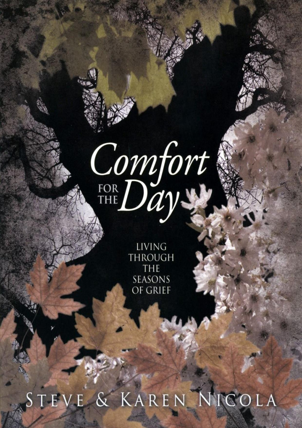 Comfort For The Day Steve Nicola Karen Nicola