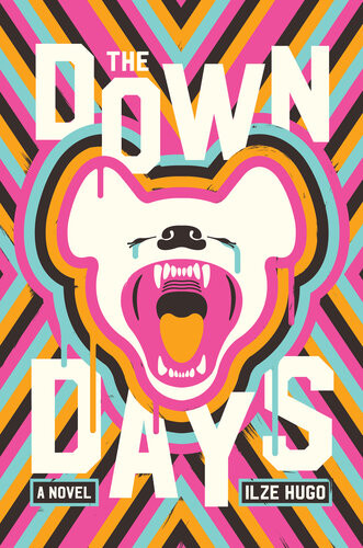 The Down Days Ilze Hugo