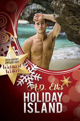 Holiday Island A D Ellis