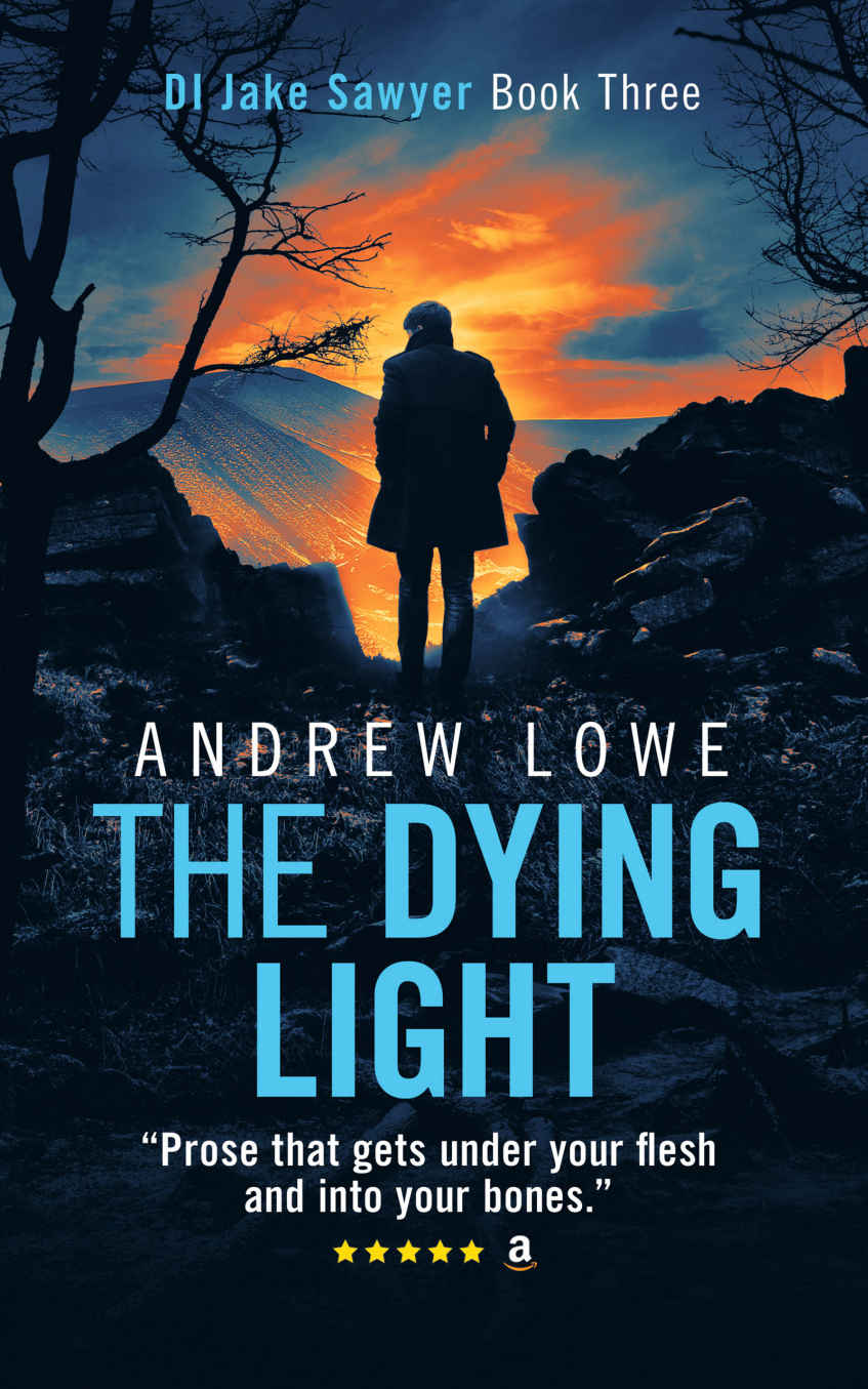 The Dying Light Andrew Lowe