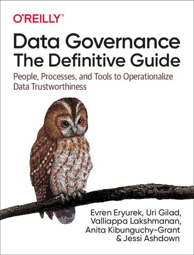 Data Governance The Definitive Guide 1st Evren Eryurek Uri Gilad
