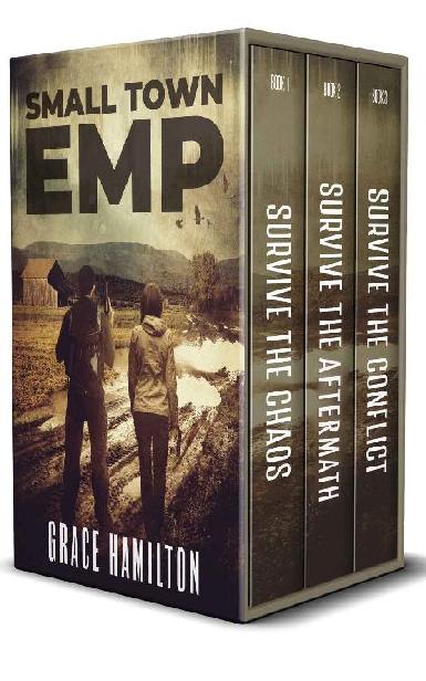 Small Town Emp The Complete Series Grace Hamilton