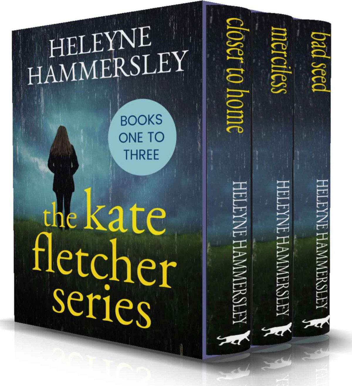 The Kate Fletcher Series Heleyne Hammersley