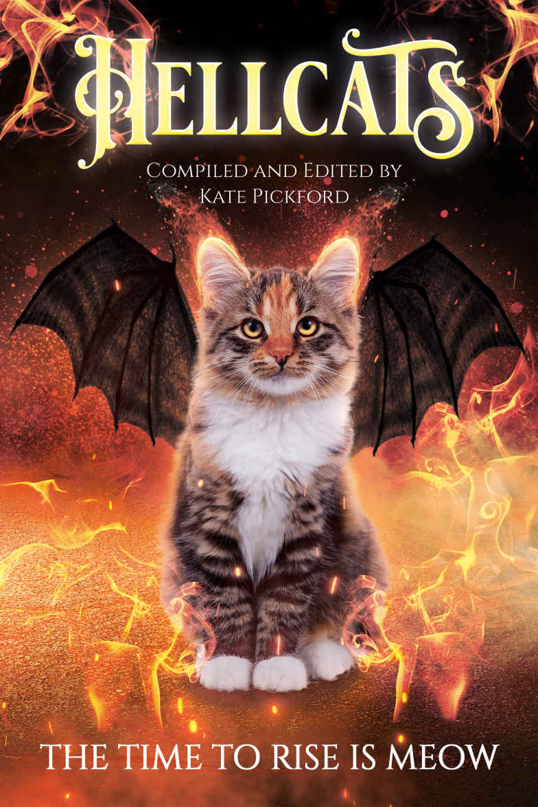 Hellcats Anthology 1st Kate Pickford Ja Clement Craig Martelle Sarah Noffke Steve Higgs Dj Cooper Jt Williams Tameri Etherton Brandon Ellis Lilly Mackenzie Hurd