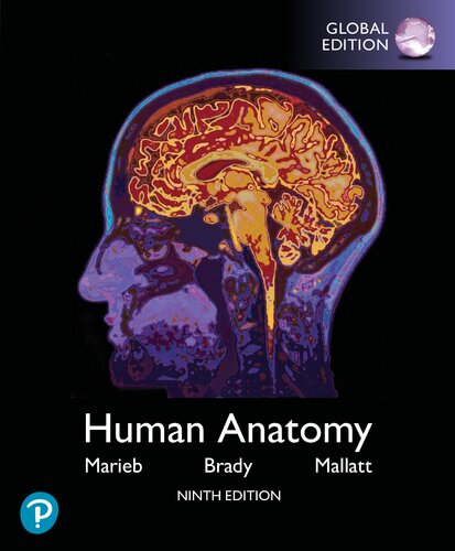 Human Anatomy Global Edition 9th Edition Elaine N Marieb Patricia M Brady