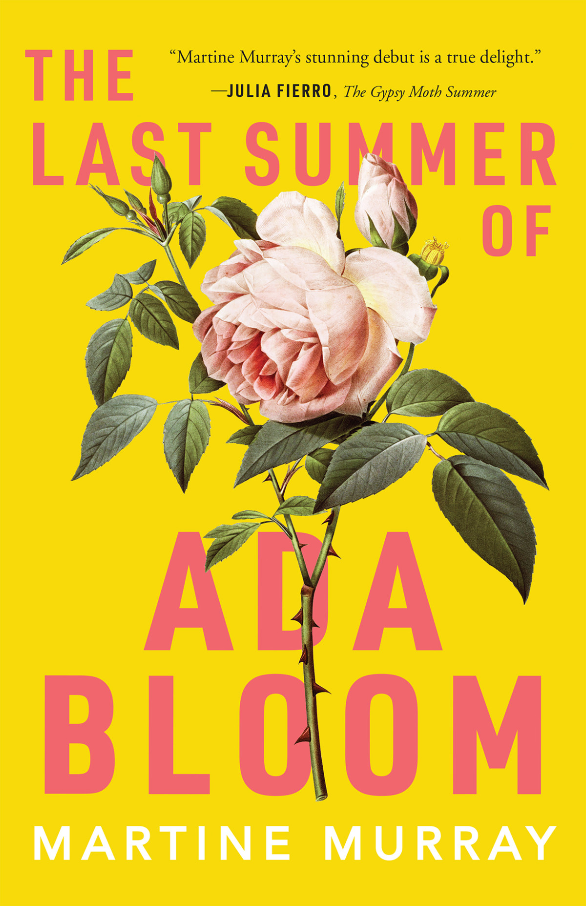 The Last Summer Of Ada Bloom Martine Murray