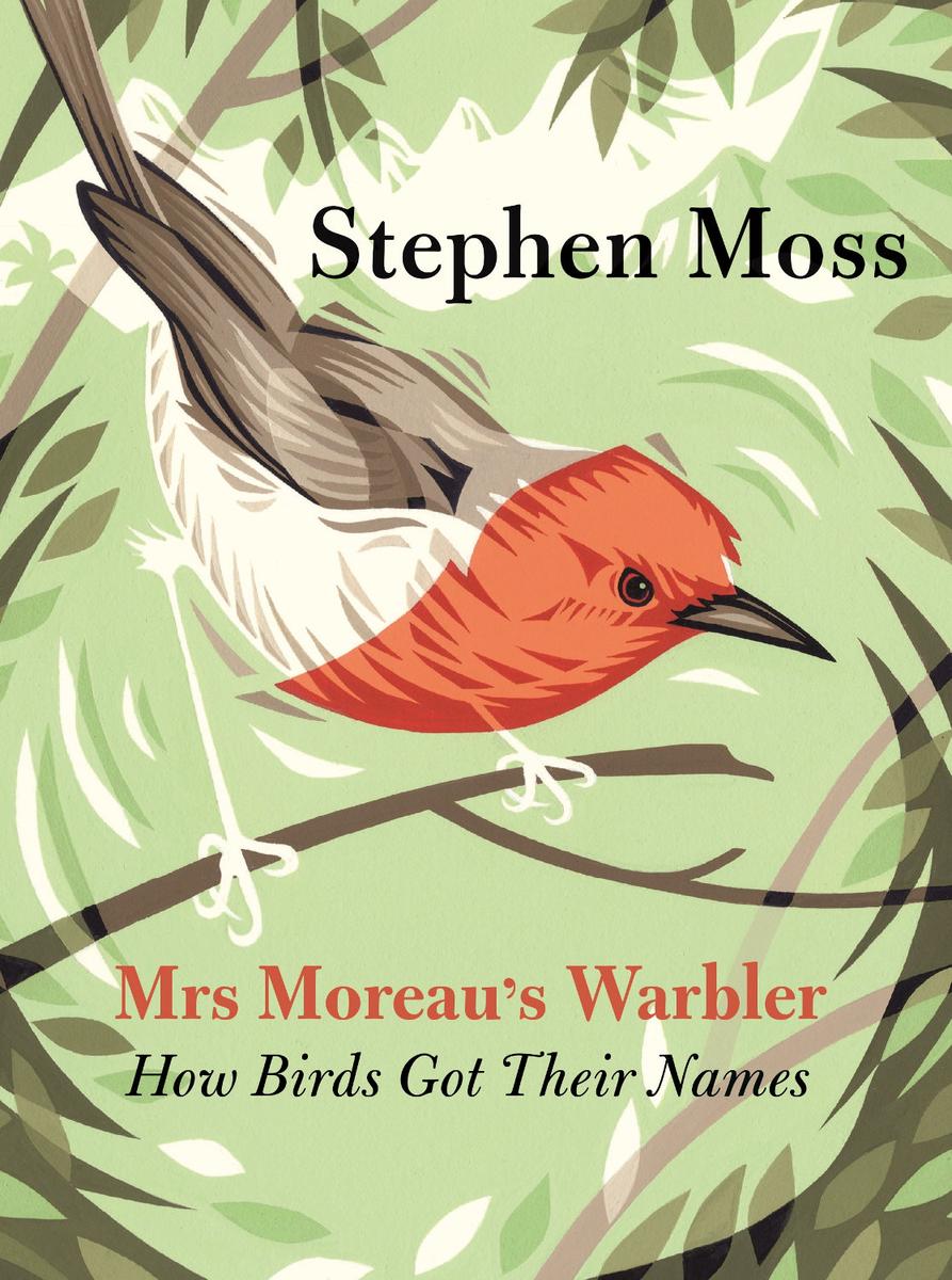 Mrs Moreaus Warbler Stephen Moss