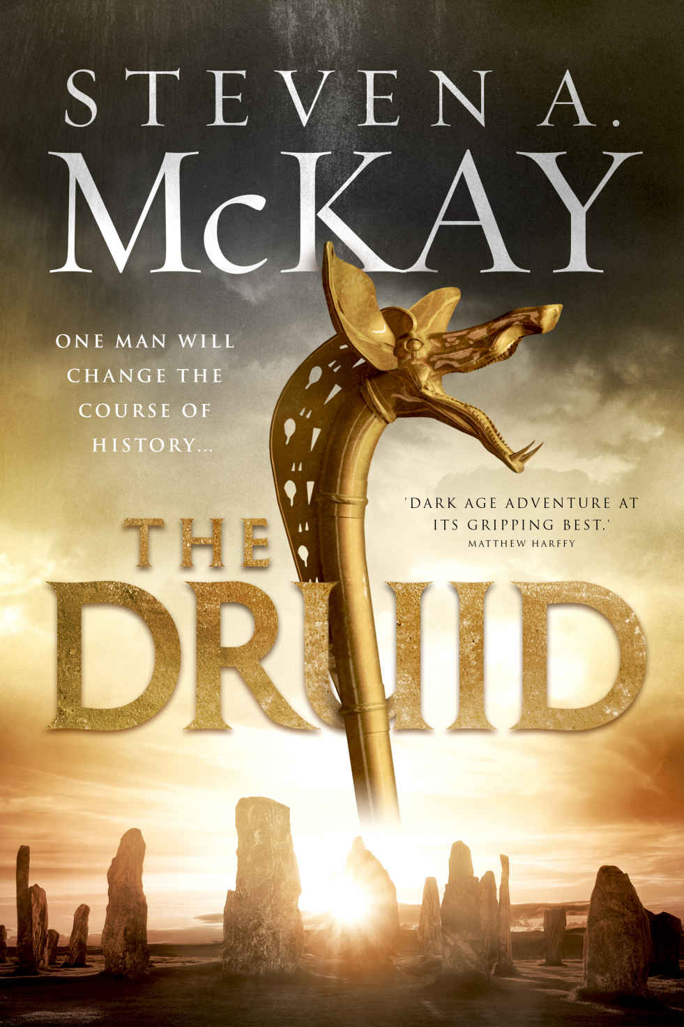 The Druid Steven A Mckay