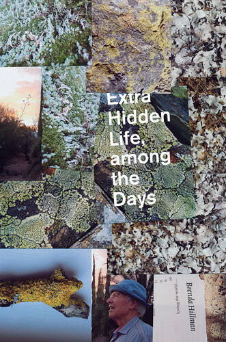 Extra Hidden Life Among The Days Brenda Hillman