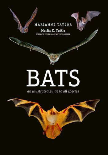 Bats An Illustrated Guide To All Species 1st Edition Marianne Taylor