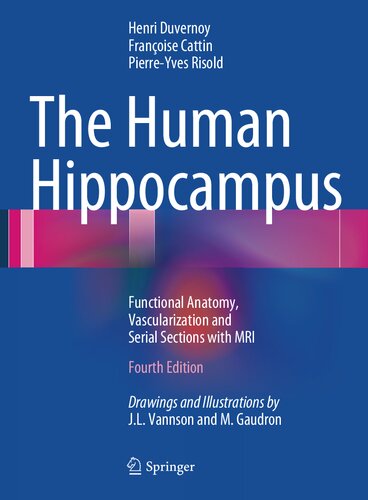 The Human Hippocampus Functional Anatomy Vascularization And Serial Sections With Mri 4th Edition Henri M Duvernoy Pierreyves Risold Franoise Cattin