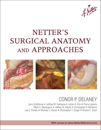 Netters Surgical Anatomy And Approaches Conor Patrick Delaney