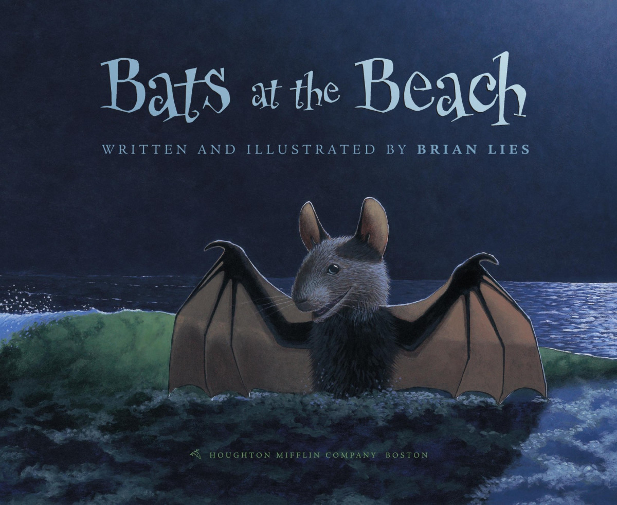 Bats At The Beach A Bat Book Lies Brian