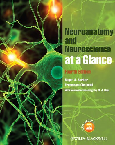 Neuroanatomy And Neuroscience At A Glance 4th Edition Roger A Barker