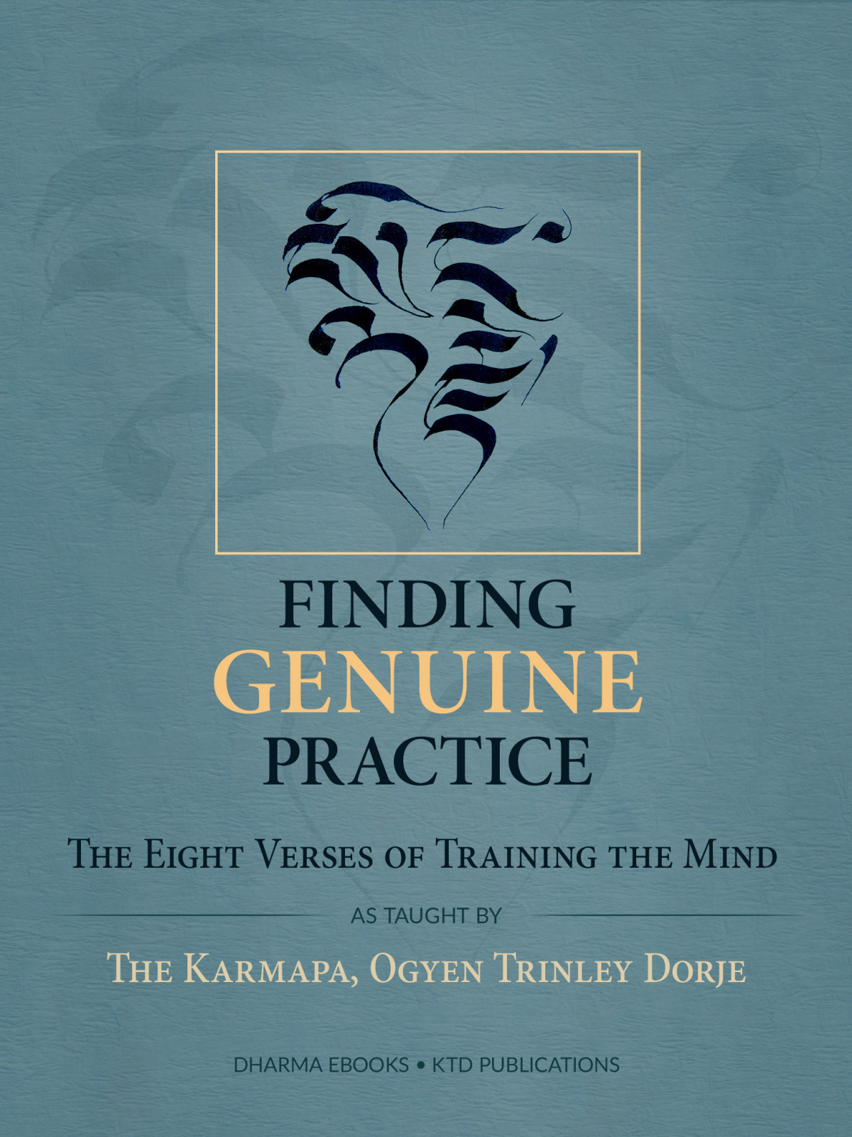Finding Genuine Practice The Karmapa