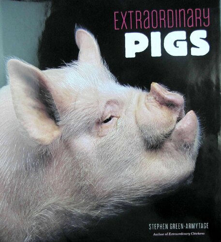 Extraordinary Pigs Stephen Greenarmytage