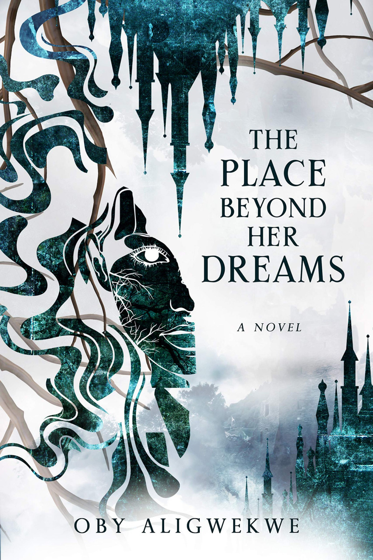 The Place Beyond Her Dreams Oby Aligwekwe
