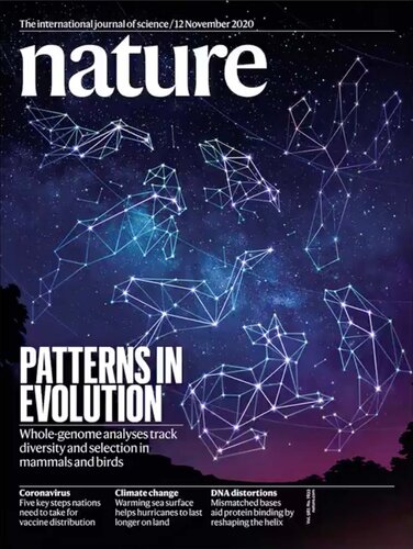 The International Journal Of Science Patterns In Evolution November 2020 Nature