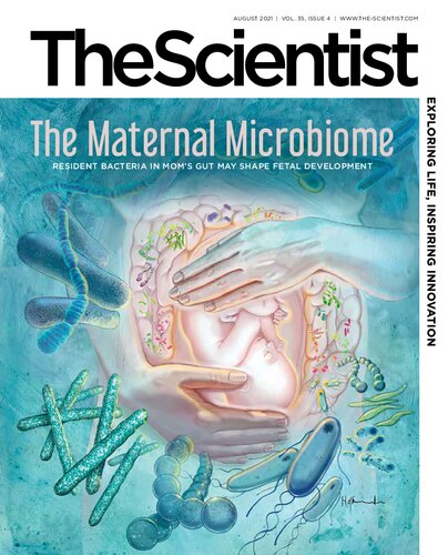 The Maternal Microbiome 4th Edition The Scientist