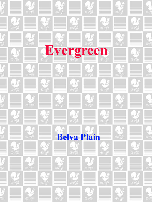 Evergreen Plain Belva