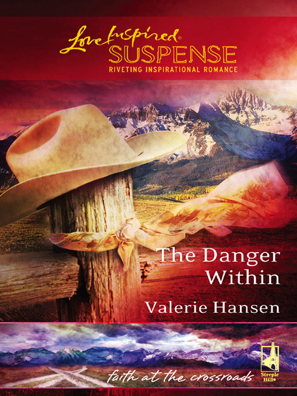 The Danger Within Hansen Valerie