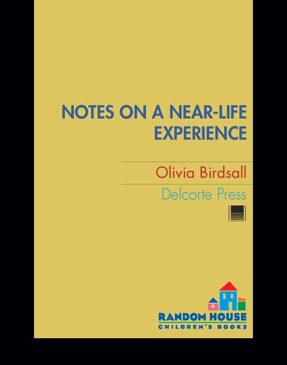 Notes On A Nearlife Experience Birdsall Olivia