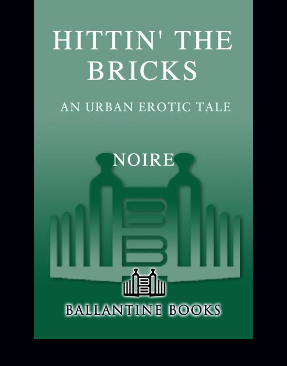 Hittin The Bricks An Urban Erotic Tale Noire