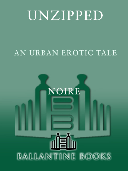 Unzipped An Urban Erotic Tale Noire