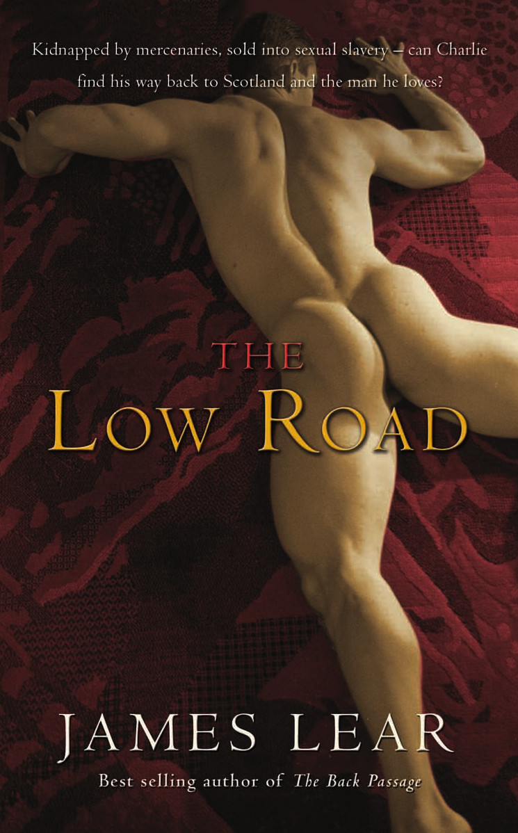 The Low Road James Lear