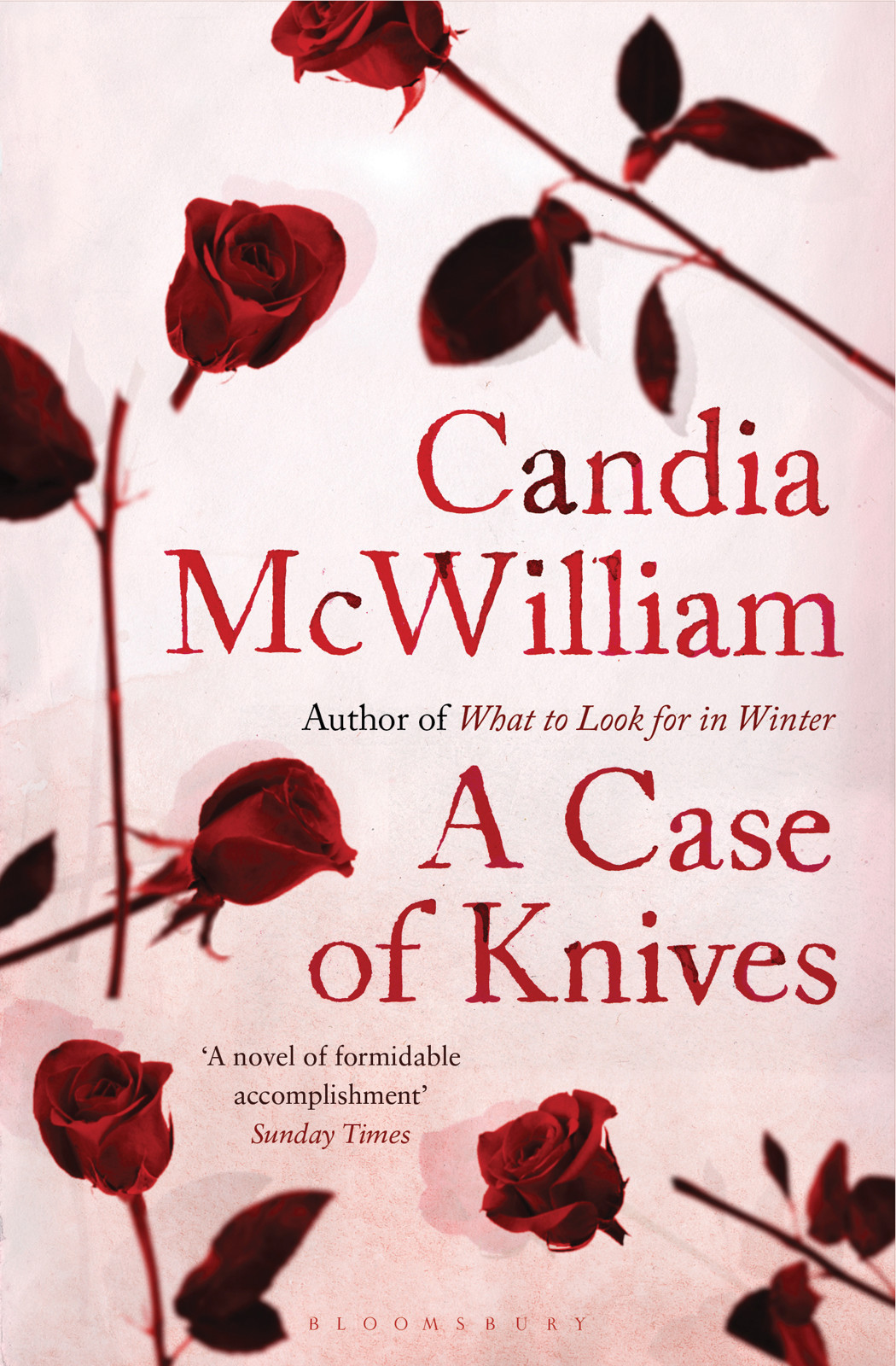 A Case Of Knives Mcwilliam Candia