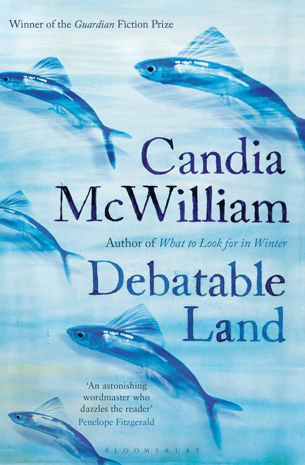 Debatable Land Mcwilliam Candia