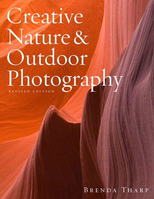Creative Nature Outdoor Photography Revised Tharp Brenda