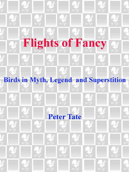 Birds In Myth Legend And Superstition Tate Peter