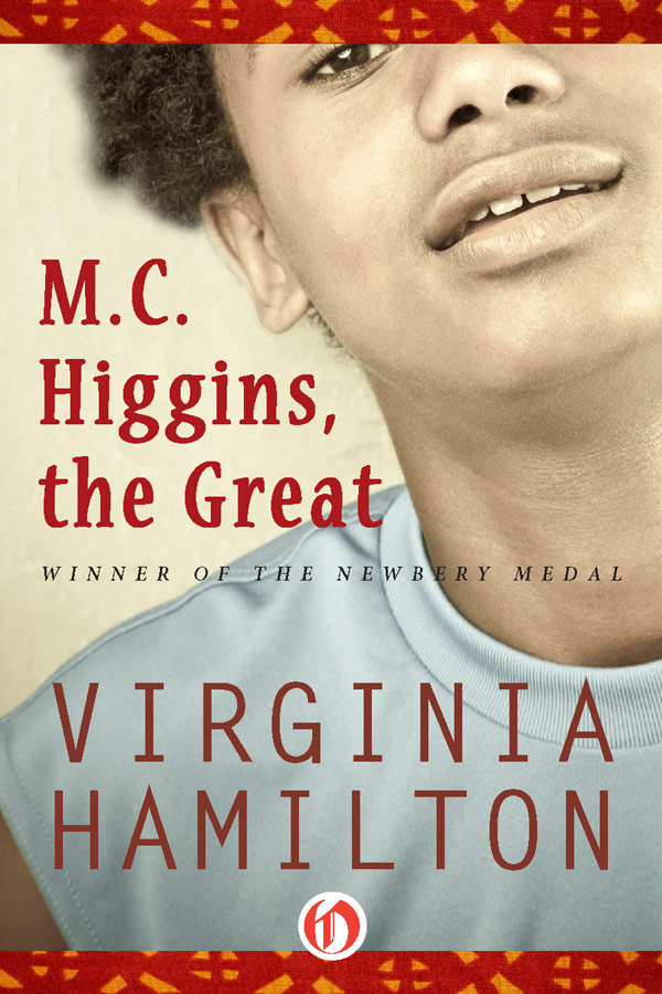 Mc Higgins The Great Hamilton Virginia