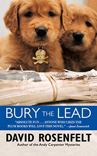 Bury The Lead Rosenfelt David