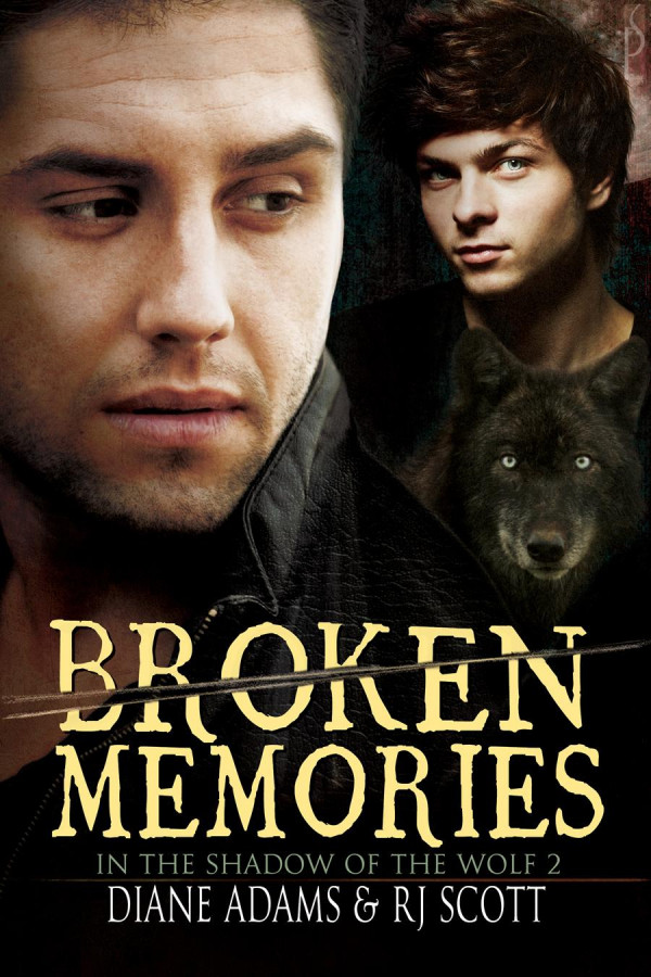 Broken Memories Diane Adams Scott R J
