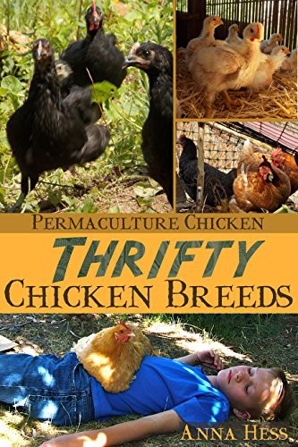 Thrifty Chicken Breeds Efficient Producers Of Eggs And Meat On The Homestead Permaculture Chicken Series Book 3 Of 5 Anna Hess