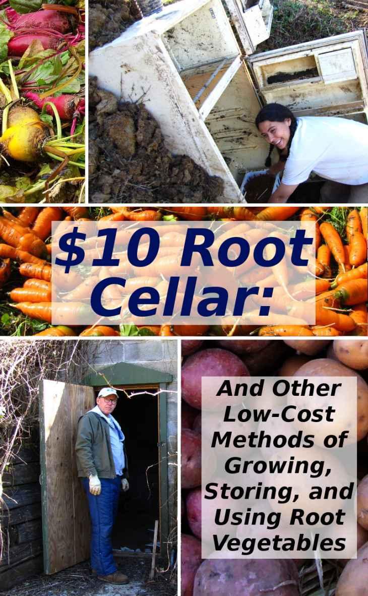 10 Root Cellar And Other Lowcost Methods Of Growing Storing And Using Root Vegetables Modern Simplicity Anna Hess