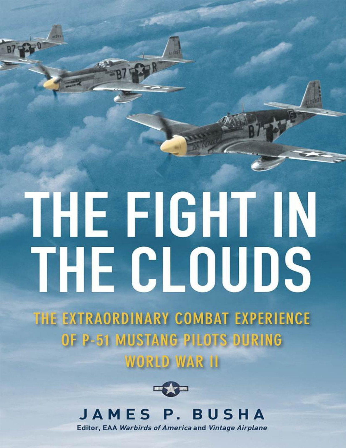 The Fight In The Clouds The Extraordinary Combat Experience Of P51 Mustang Pilots During World War Ii James P Busha