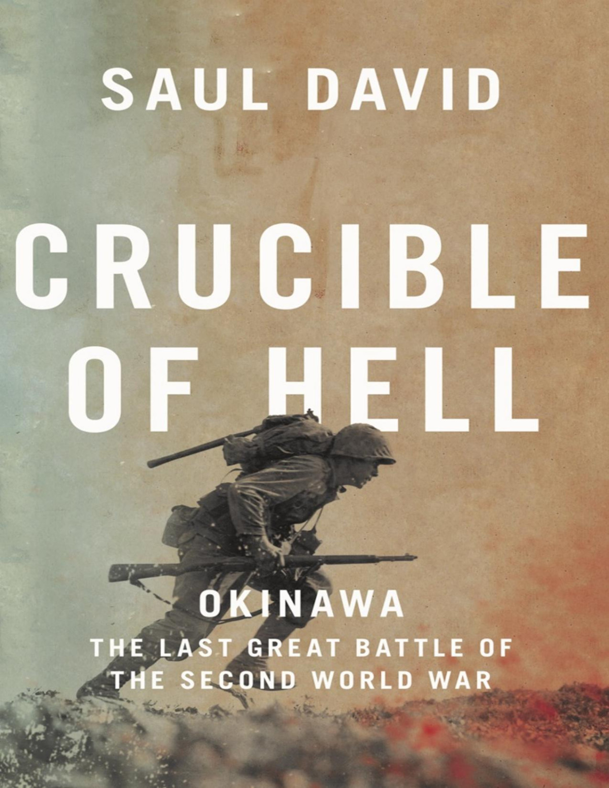 Crucible Of Hell Saul David