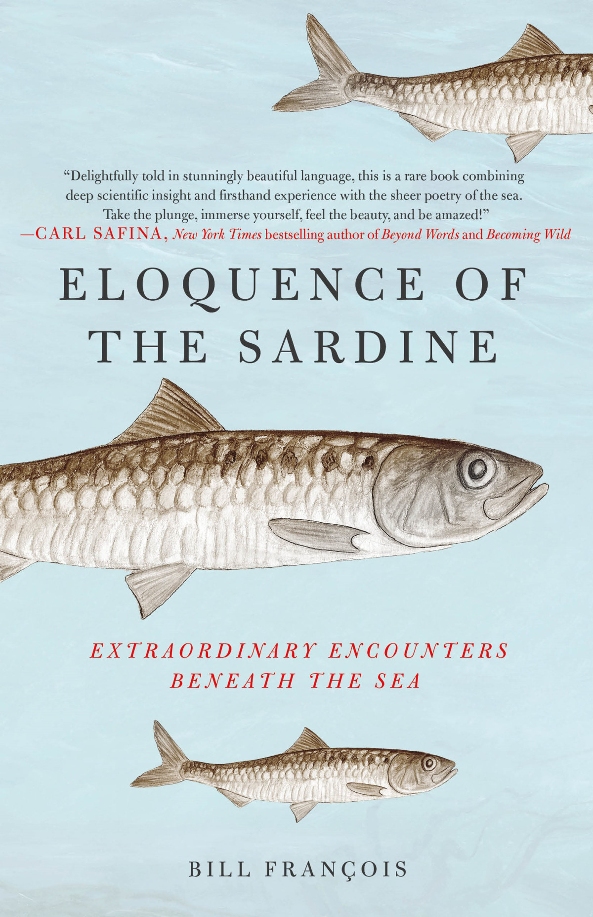 Eloquence Of The Sardine Extraordinary Encounters Beneath The Sea Bill Franois