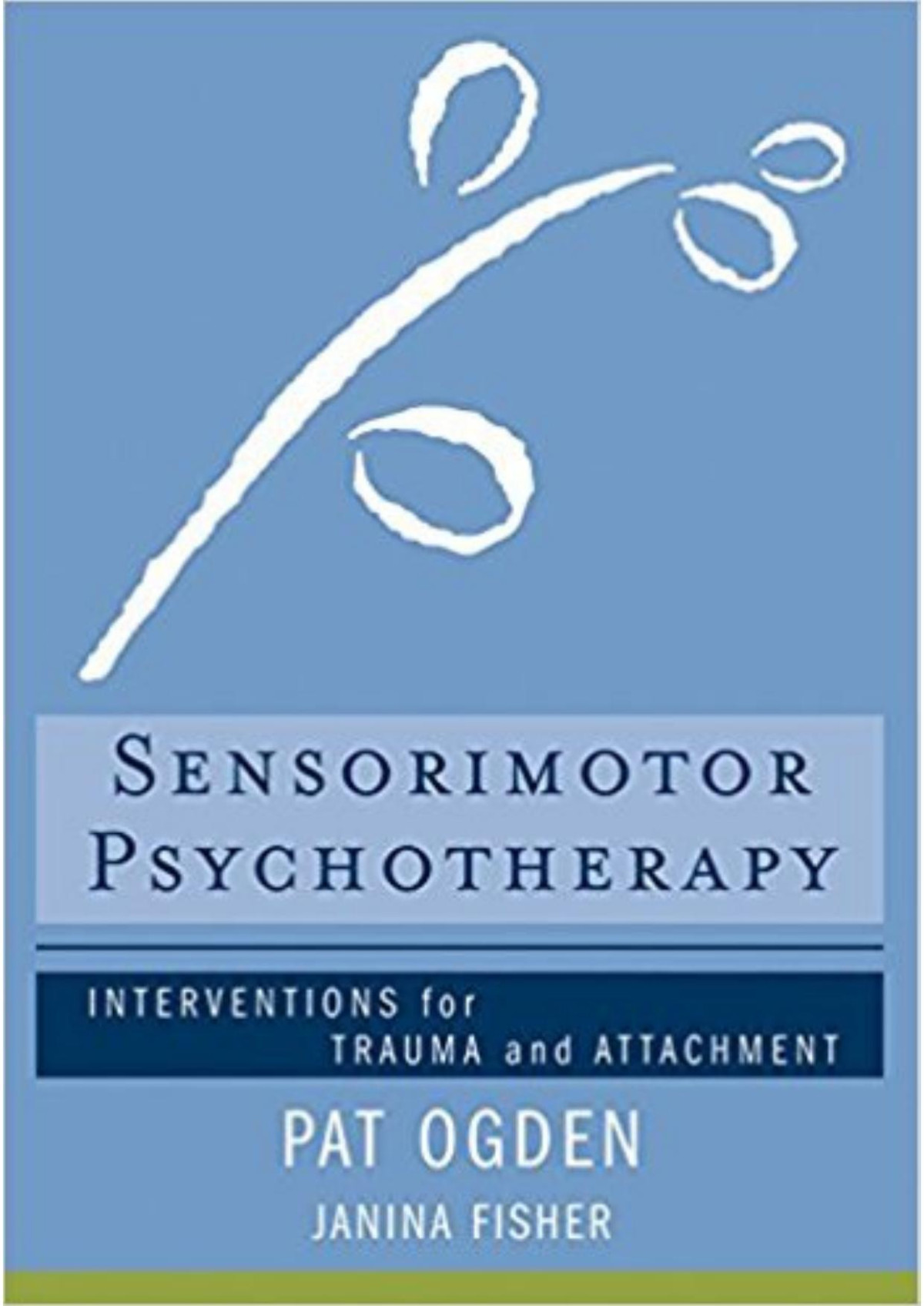 Sensorimotor Psychotherapy Interventions For Trauma And Attachment Norton Series On Interpersonal Neurobiology Pat Ogden Janina Fisher